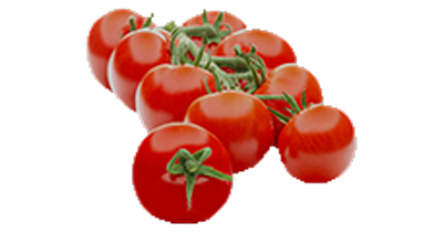 salkım domates